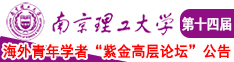 啊啊啊操逼视频南京理工大学第十四届海外青年学者紫金论坛诚邀海内外英才！